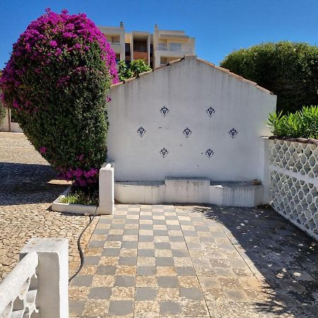 Primavera بورتيماو المظهر الخارجي الصورة