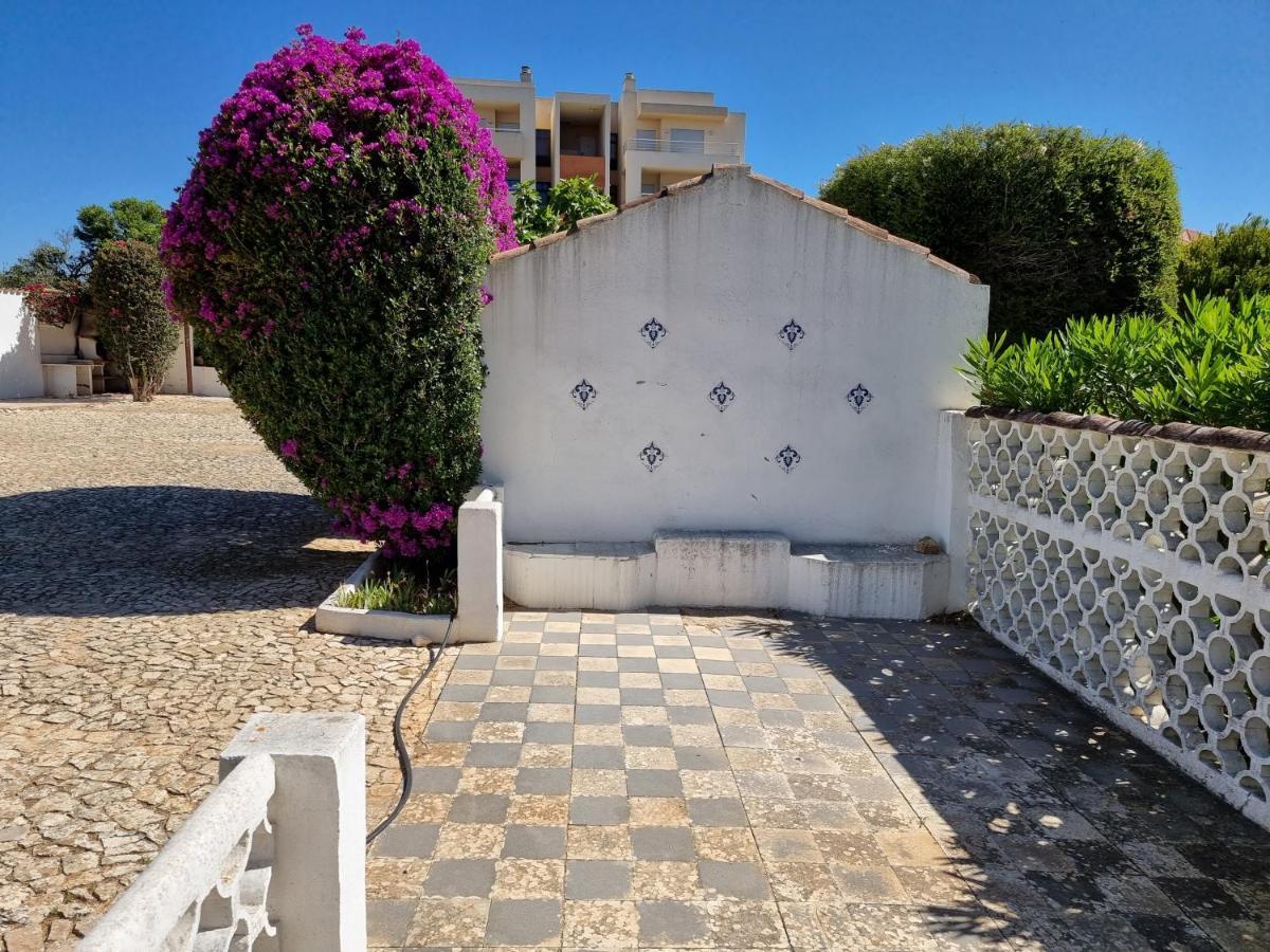 Primavera بورتيماو المظهر الخارجي الصورة