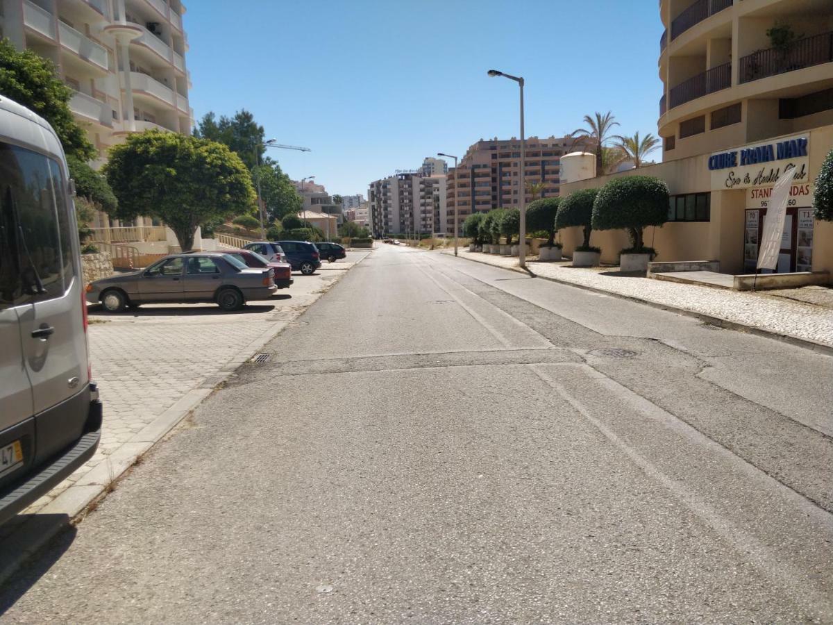 Primavera بورتيماو المظهر الخارجي الصورة